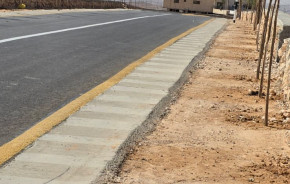 البلدية تستكمل زراعة الأشجار في منطقة خلة انياص